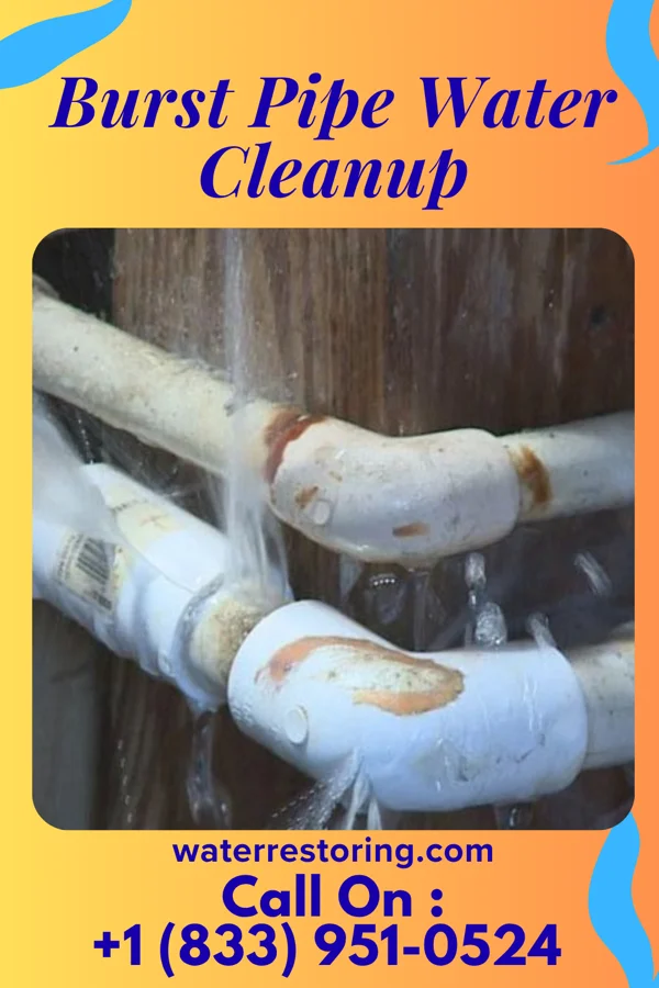Burst Pipe Water Cleanup in Foot of Ten, PA