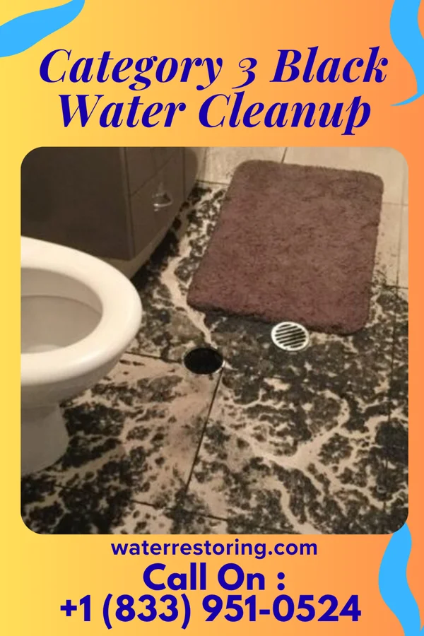 Category 3 Black Water Cleanup in Foot of Ten, PA