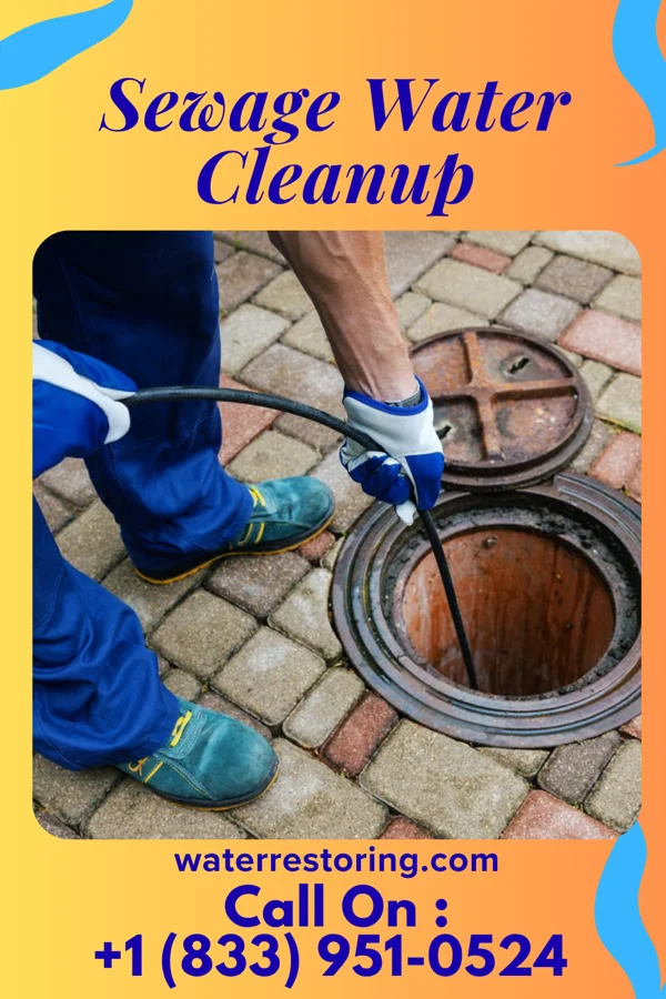 Sewage Water Cleanup in Foot of Ten, PA