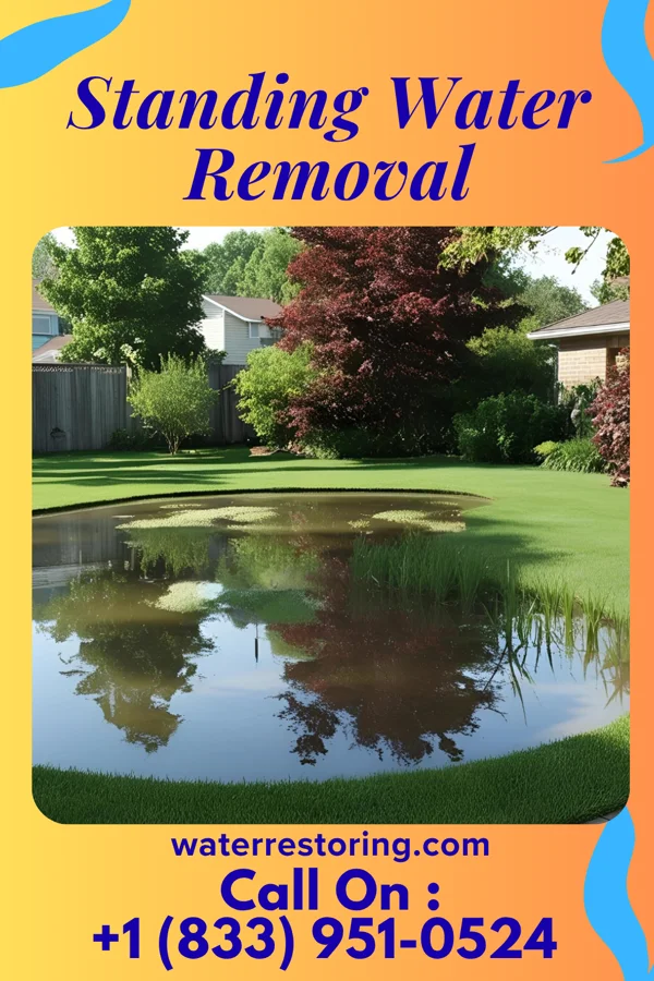 Standing Water Removal in Foot of Ten, PA